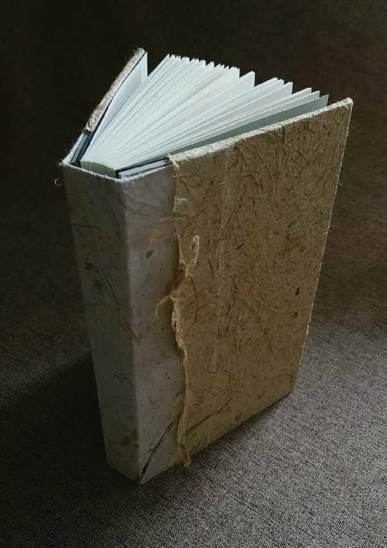 Sewn Boards Binding Tutorial - Image 7